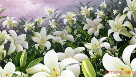 跟风搞AI培训赔了20万后，我咋靠“心田花开智能ai 加盟代理”把棺材本儿翻身的？（真人真事）